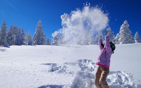 カナダ人に北海道のスキー場が人気の理由