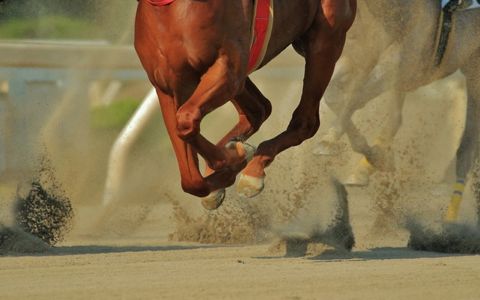 マカヒキが日本馬初の凱旋門賞を制する可能性は？