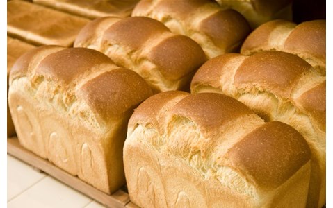 世田谷に全国の美味しいパンが大集合！