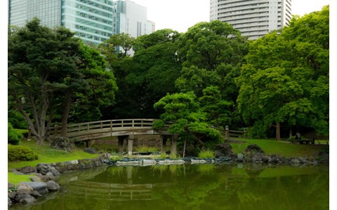 新緑の季節に行くべき「東京の森」は？