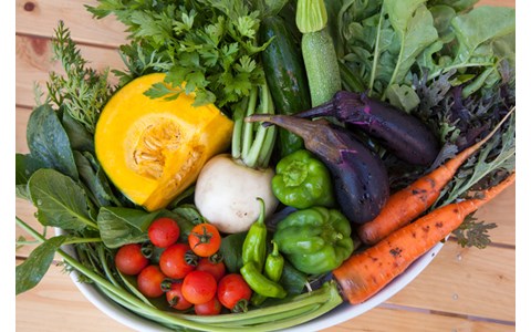誰でも簡単！ 冷蔵庫の野菜を長持ちさせるコツは？