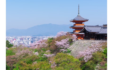 春の京都でおすすめなのは…市長が語る、街の魅力