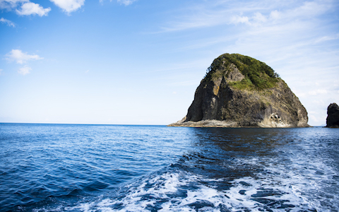 サンゴ礁に油べっとり…東シナ海のタンカー沈没事故、なぜ日本で報道されない？