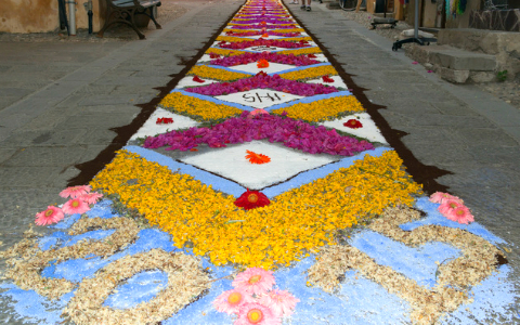 世界遺産の街にフラワーカーペットが敷き詰められる花祭り