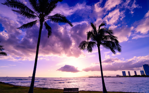 ハワイ観光のプロがおすすめする、絶対行くべきスポット&レストラン