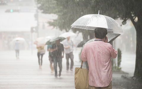 東京が豪雨に見舞われたら…？ 避難法を専門家に訊く