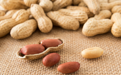 ピーナッツの薄皮は、強力なアンチエイジング成分が！ 秋の食材、美容効果アップな食べ方