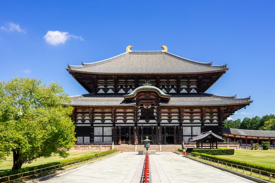 「奈良ほどおいしいものがたくさんあるところはない」 日本を巡る作家が熱弁する、その魅力
