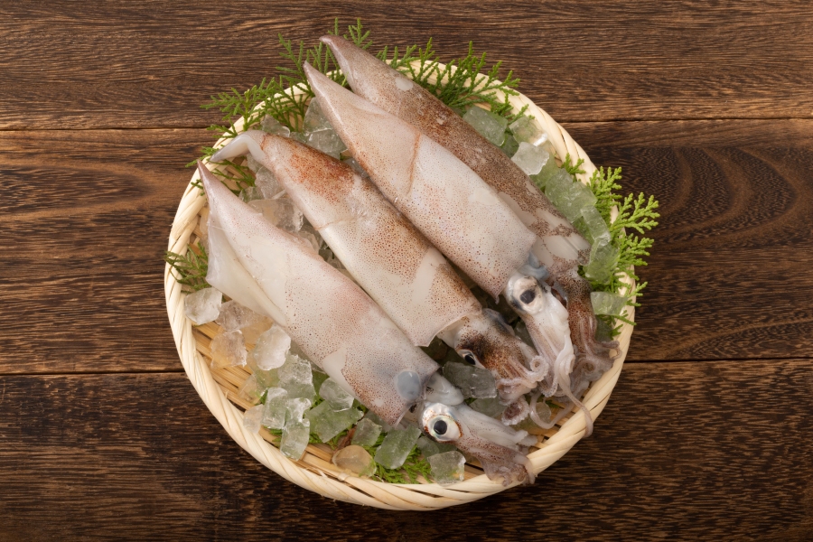 濃厚でおいしいイカ、その内臓をご飯にかけて…青森県の八戸市・十和田市の食文化・歴史を紹介