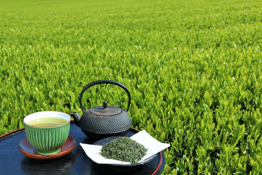 濃くて深くて“グッとくる”お茶も！ 静岡県の魅力やグルメを作家が語る