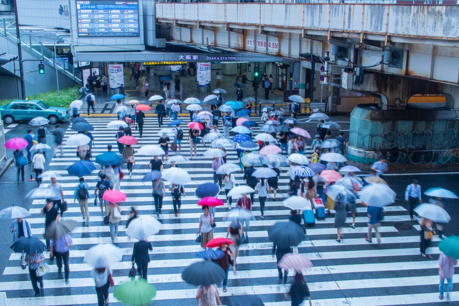 傘は「大きいほど濡れない」わけじゃない！ 傘ソムリエが紹介するおすすめ商品やメンテ方法