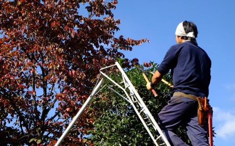 庭師 のファッションに注目する海外アーティスト J Wave News