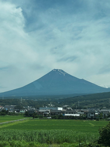 20250120shizuoka_sub2.jpg