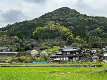 20260727_ureshino_sub1.jpg
