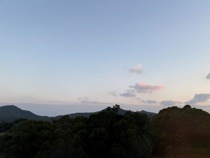 250627_PLENUS_sub8.jpg