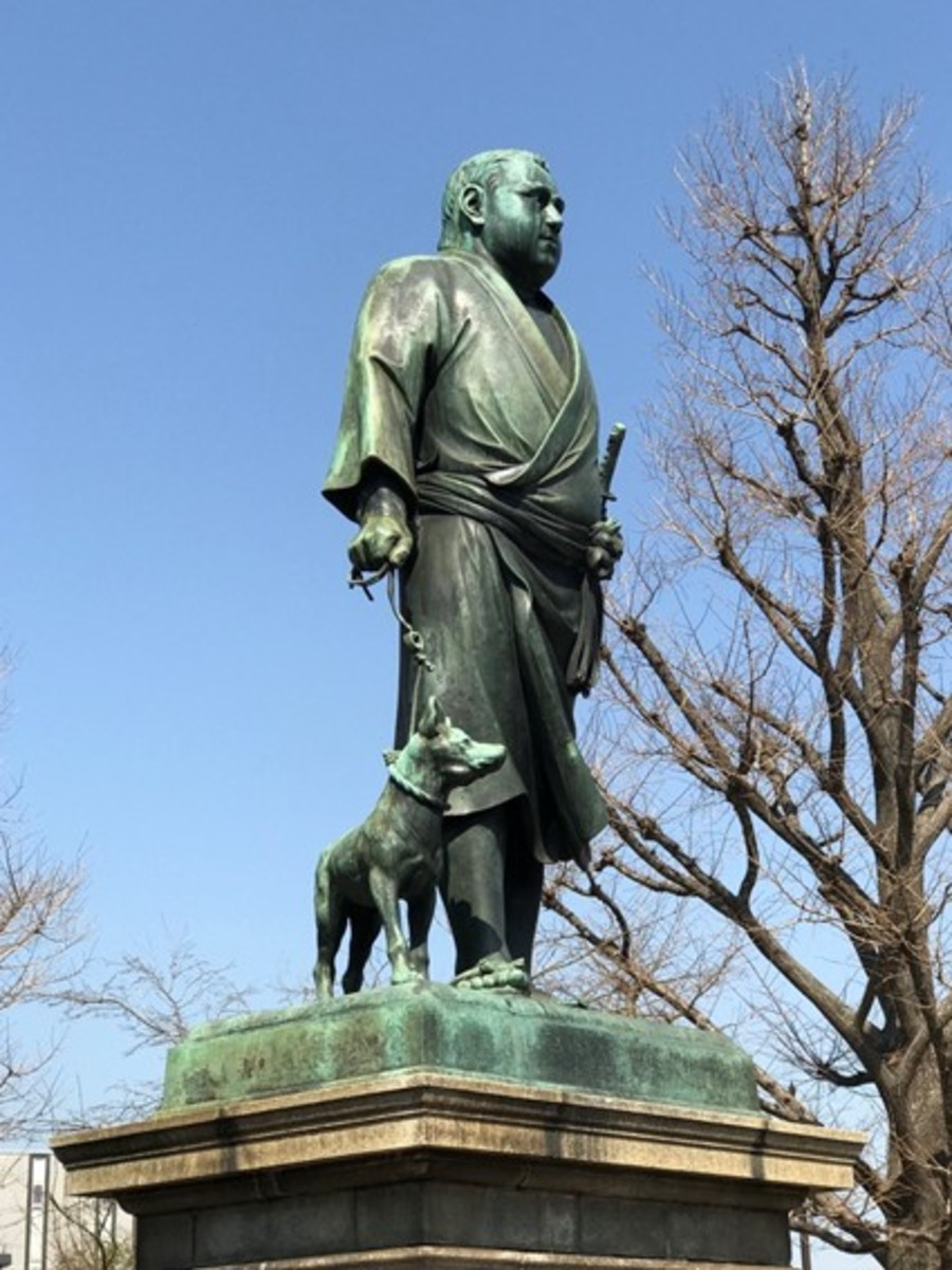 20260525_PLENUS_2.jpg