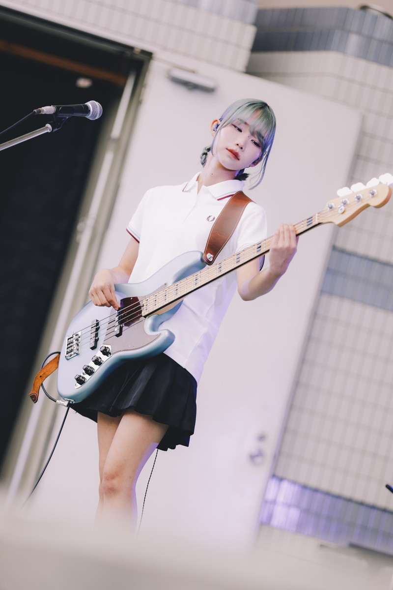 coco_2507124.jpg