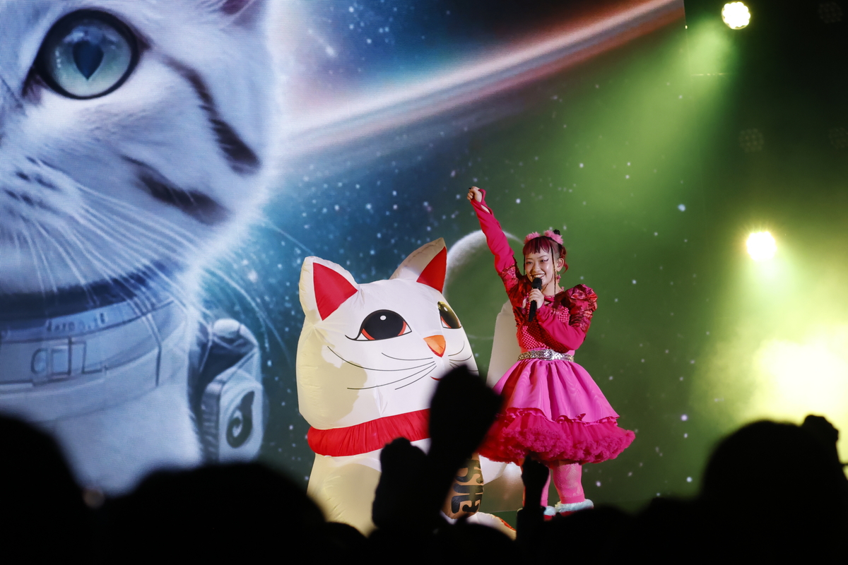 水曜日のカンパネラ、六本木ヒルズアリーナでライブ！ 個性的な世界で